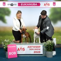 Evan (BOB) &amp; Elsa (BOS) IDS Antwerpen 2023